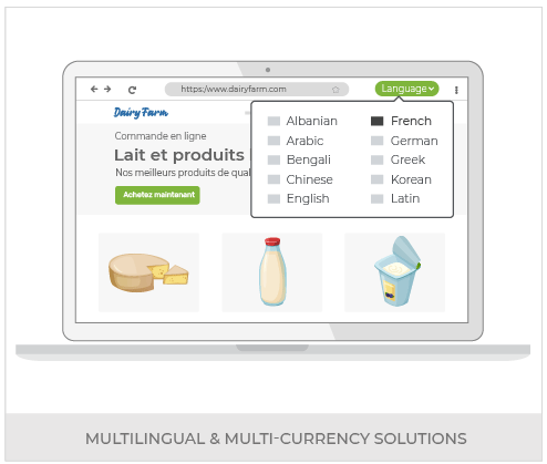 Create An Omnichannel Milk And Dairy Store With Headless Commerce