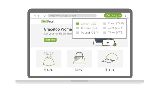 StoreHippo best ecommerce platform powered online with multi-currency pricing options for customers.