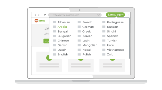 Feature to build a Multilingual ecommerce website offered as part of StoreHippo B2B ecommerce solutions.