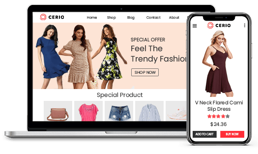 Ecommerce Insights