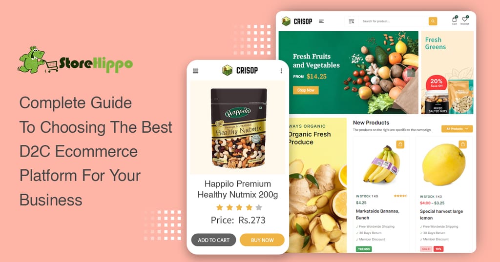 How to choose the best D2C ecommerce platform for your business