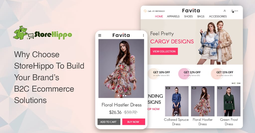 10-reasons-why-storehippo-is-the-best-b2c-ecommerce-solution-for-fast-growing-brands