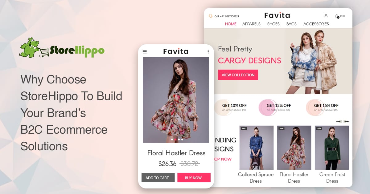 Why StoreHippo Is The Best B2C Ecommerce Solution For Brands in 2024