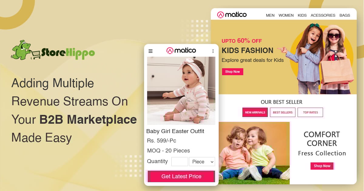 10 Unconventional Ways to Monetize Your B2B Marketplace | StoreHippo