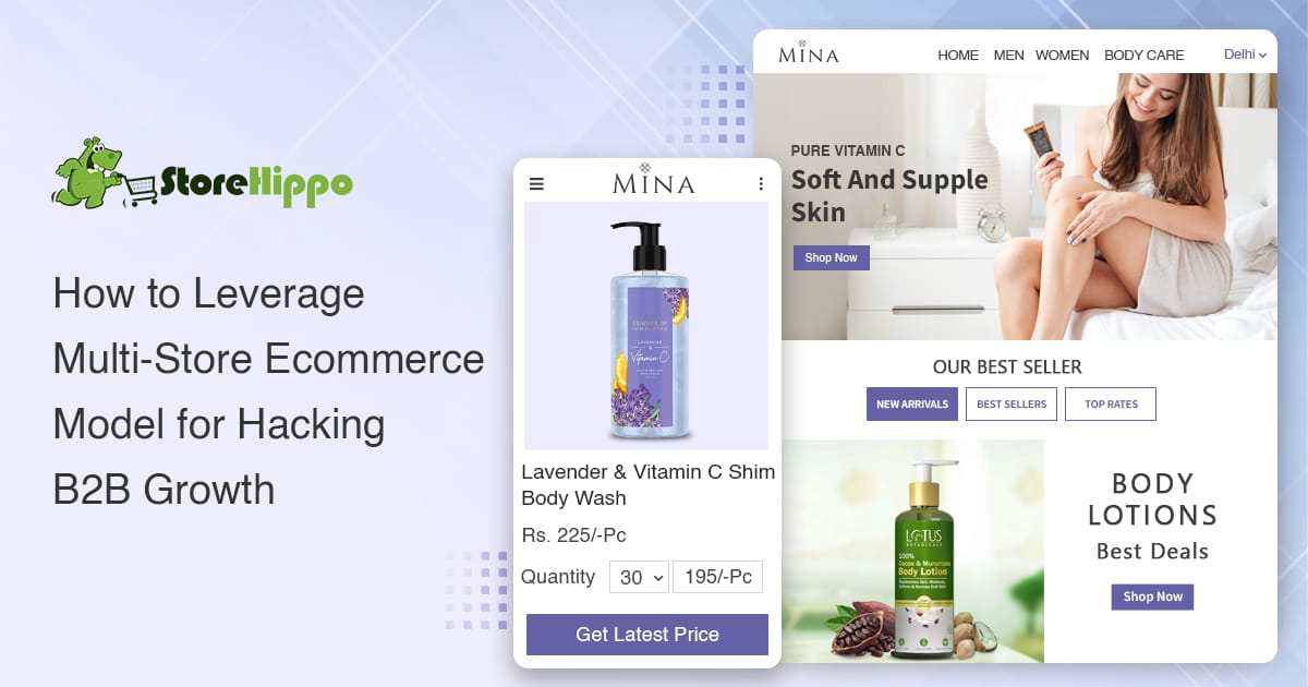 7 Ways Multi-Storefront Ecommerce Can Maximise Your B2B Potential | StoreHippo