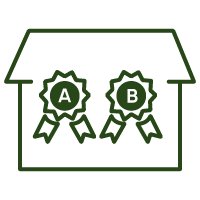 Multi Brand D2C Online Marketplace