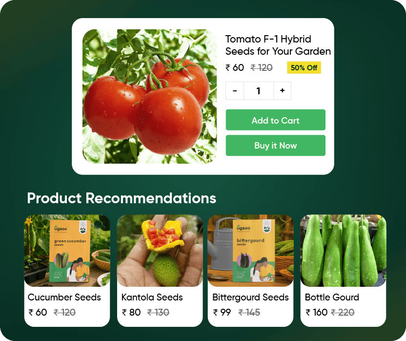 Personalised Recommendations