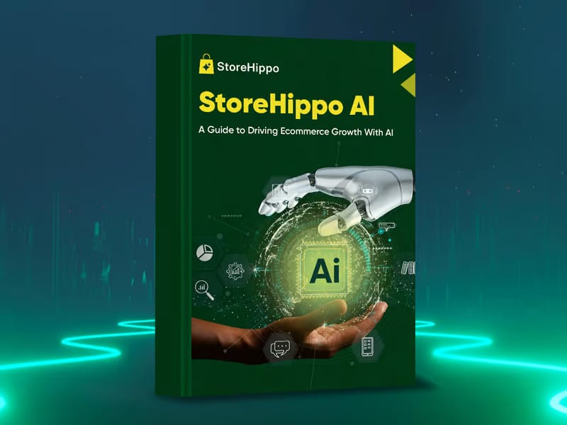 StoreHippo AI: A Guide to Driving Ecommerce Growth</br> With AI