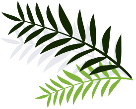 banner-leaf-right