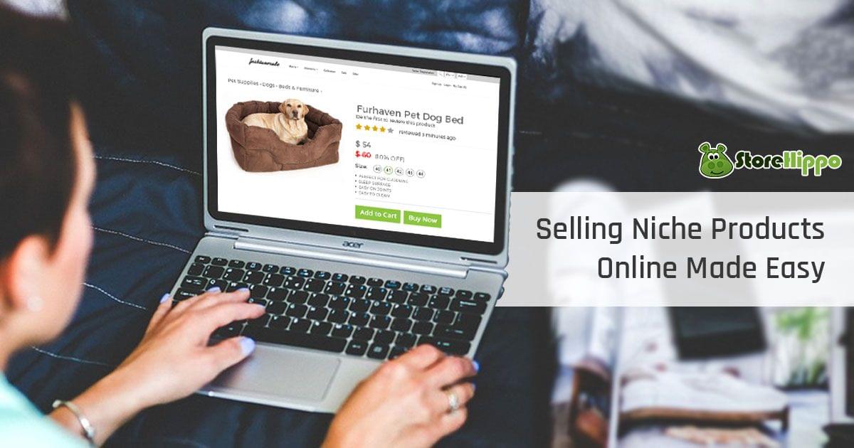 Finding customers for ecommerce website of niche products| StoreHippo
