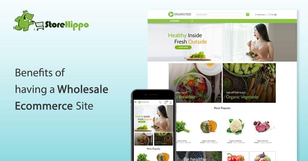 10-compelling-reasons-why-you-need-wholesale-ecommerce-site